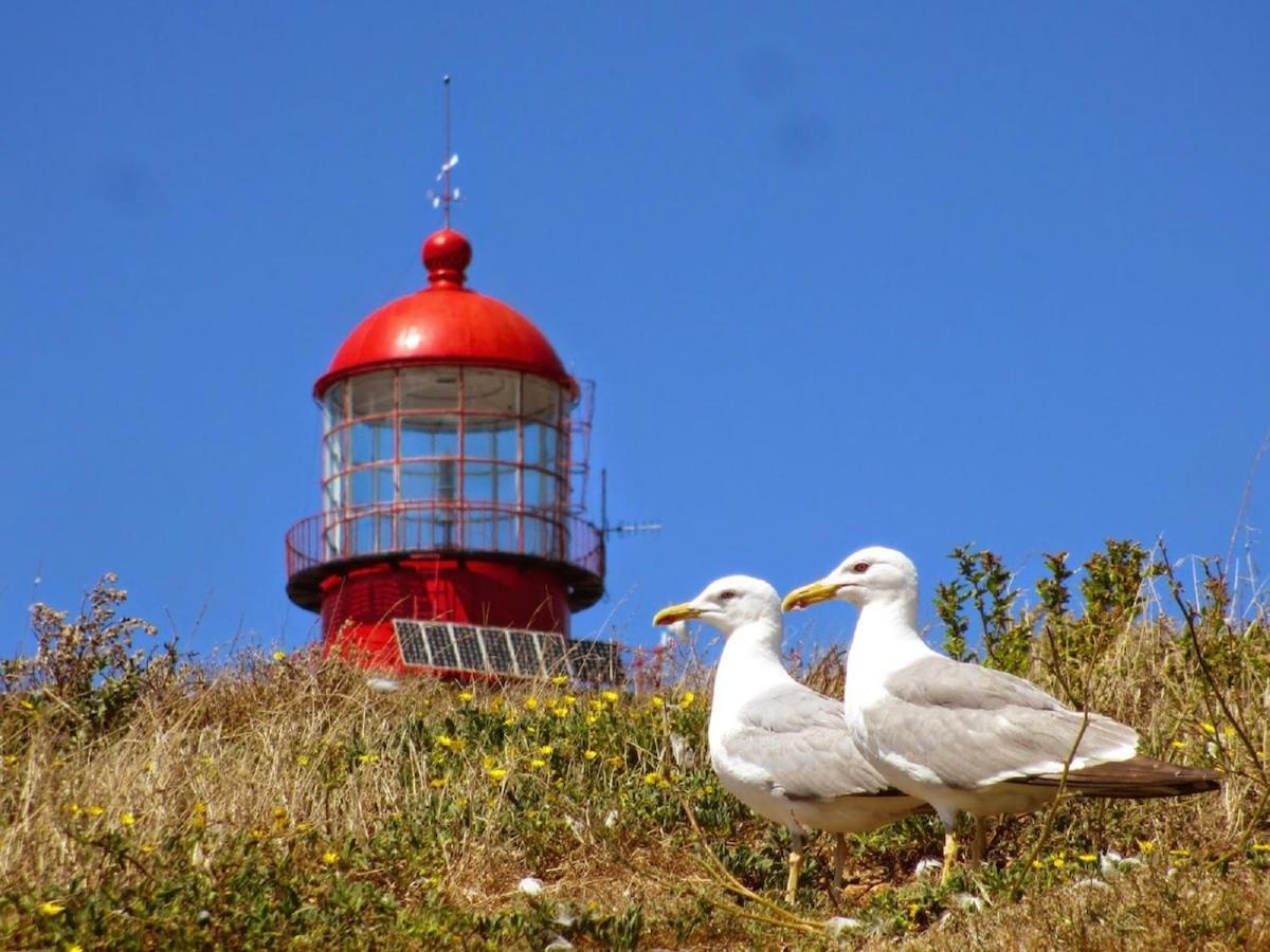Best Houses 22- Great Location In Baleal! 페니케 외부 사진